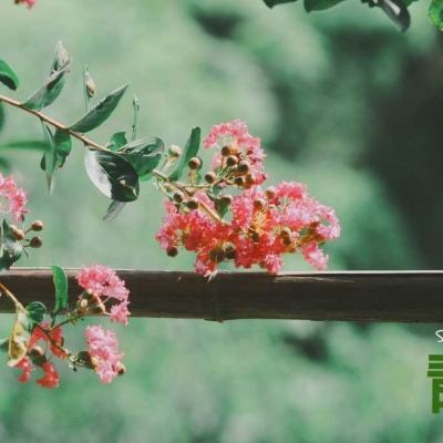 澳门正版资料大全app下载截图